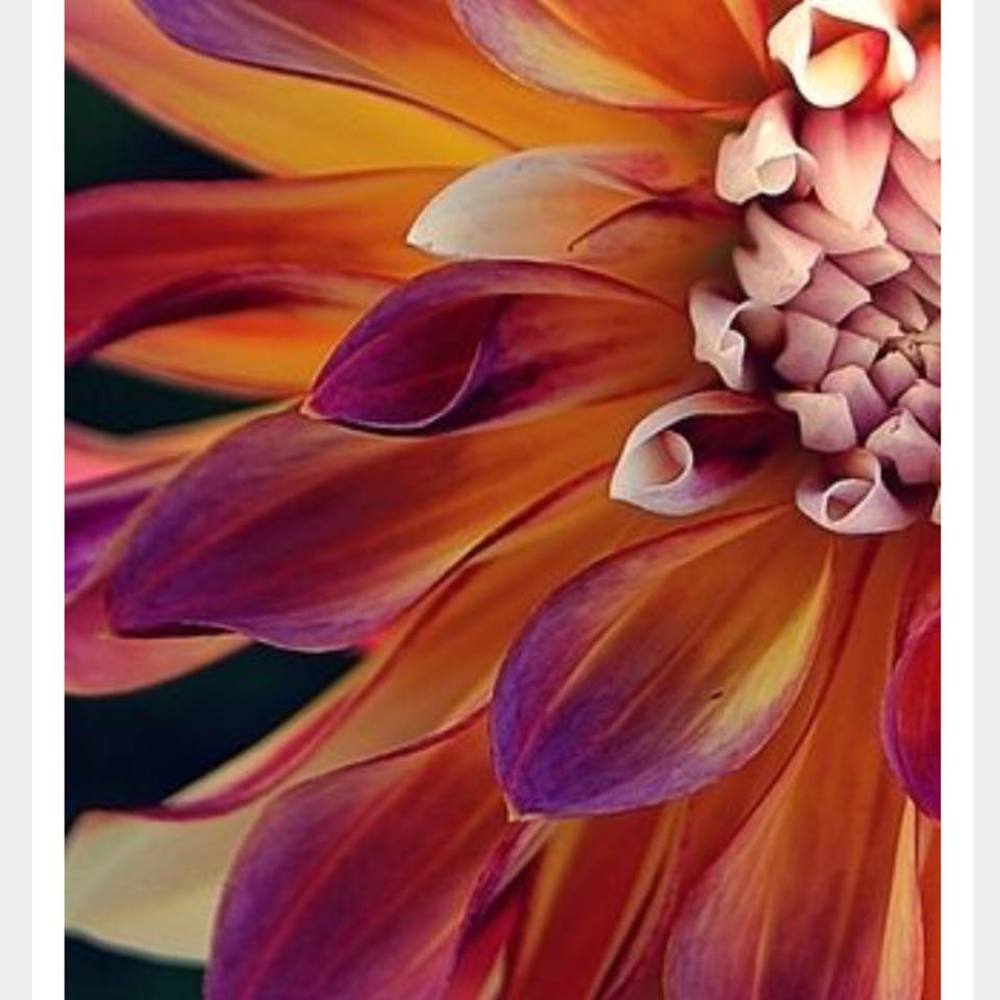 Meet your Posher, Sherry